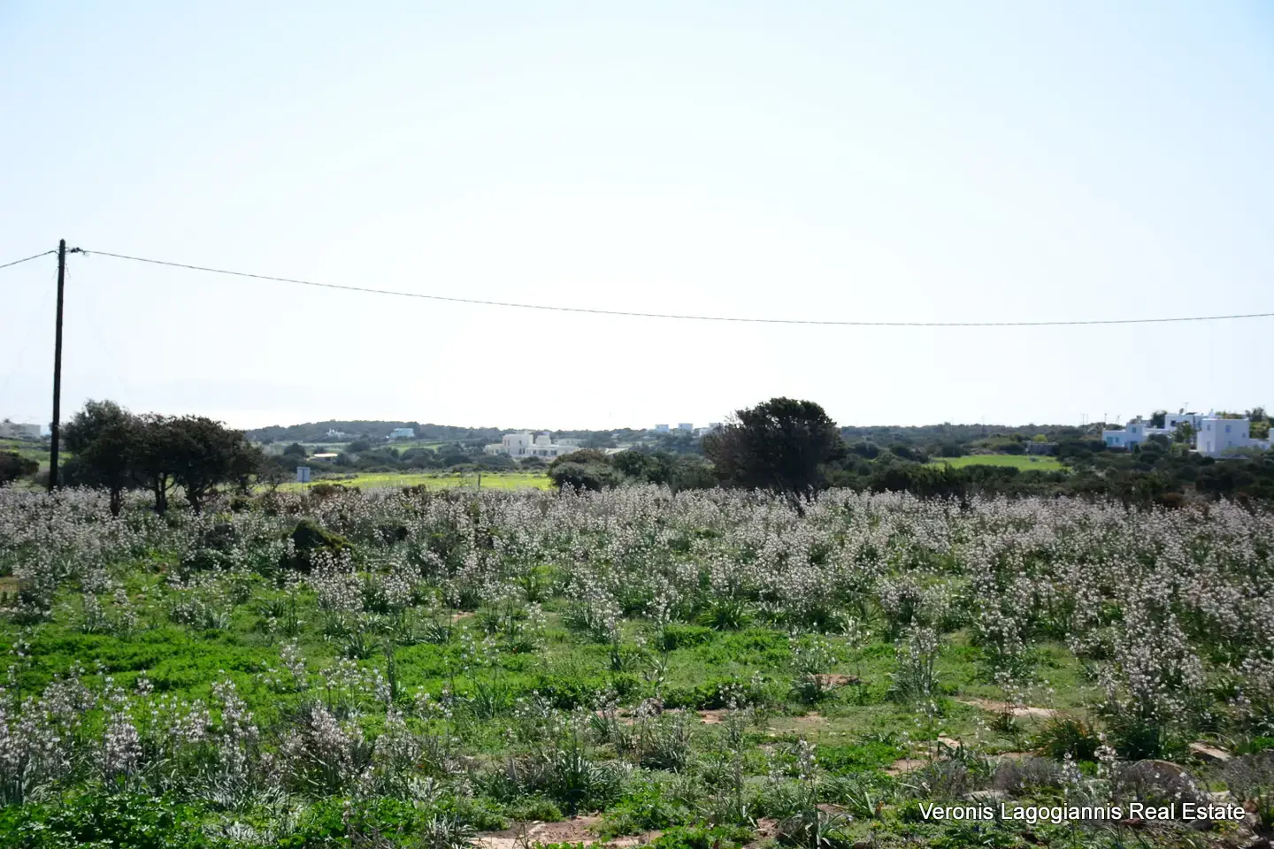 DSC_9533 Kamaria Alyko / Plot with Building Permit for Two Villas / 640616