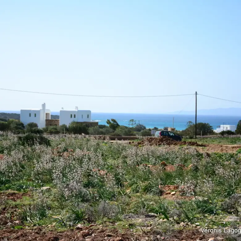 Kamaria Alyko / Plot with Building Permit for Two Villas / 640616