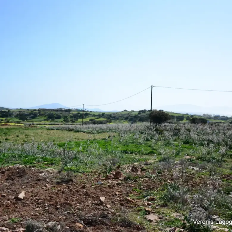 Kamaria Alyko / Plot with Building Permit for Two Villas / 640616