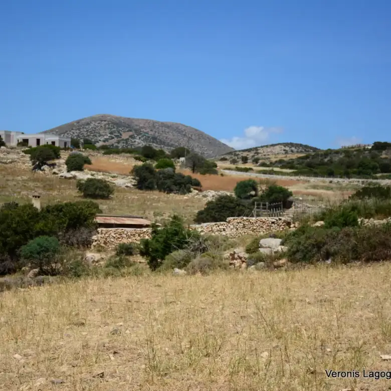 Γλυφάδα Νάξου – Αγροτεμάχιο 4.556m2 / 640630