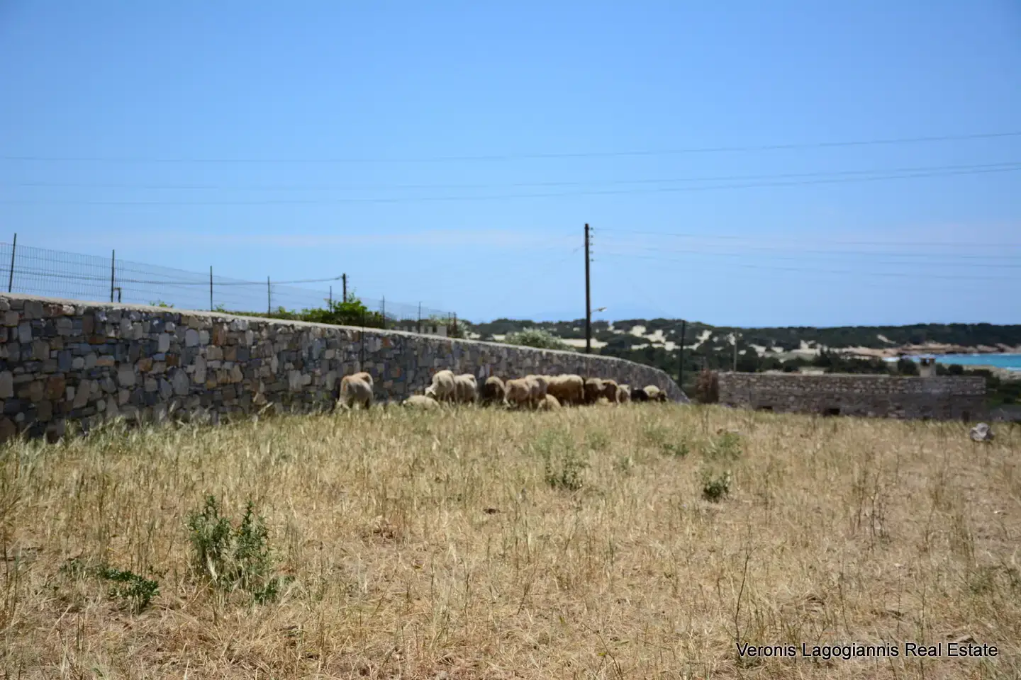 Γλυφάδα Νάξου – Αγροτεμάχιο 4.556m2 / 640630