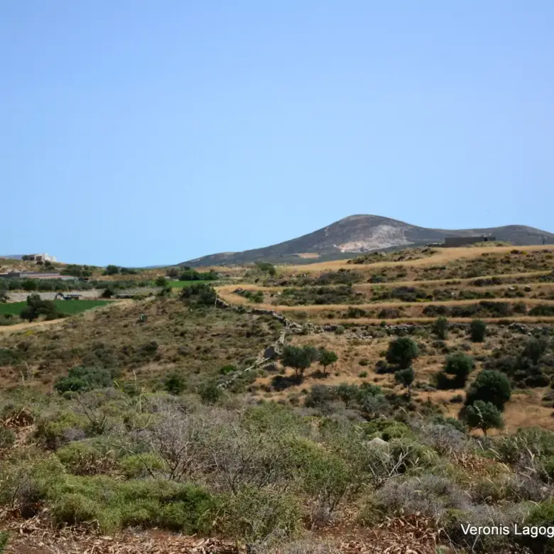 Βίβλος Νάξου – Αγροτεμάχιο 5.300m2 / 640629