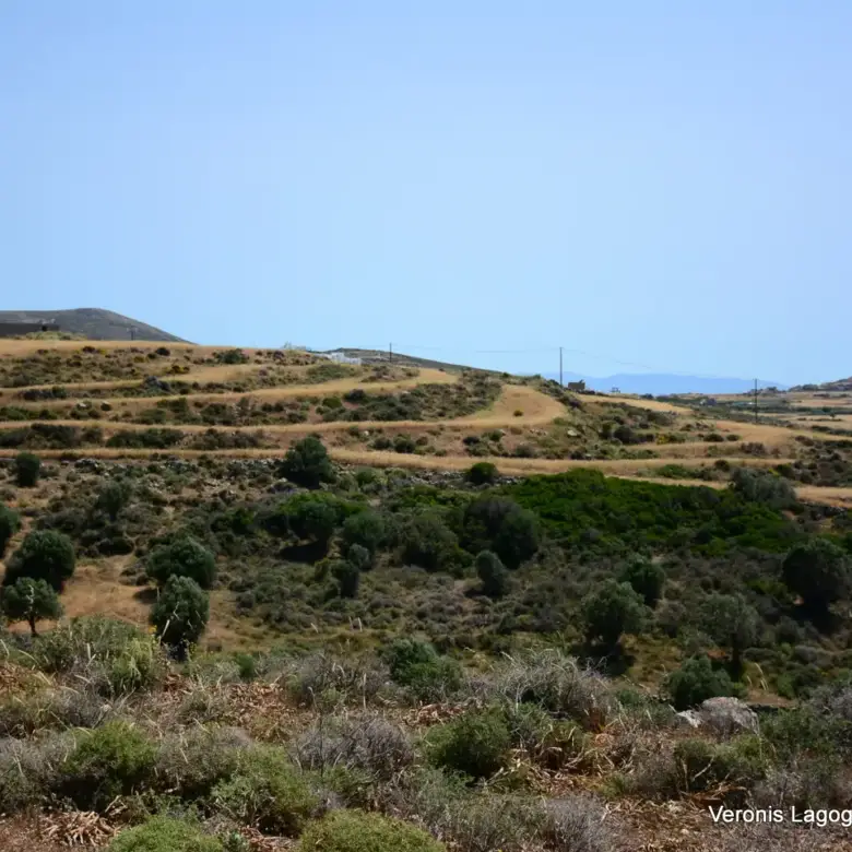 Βίβλος Νάξου – Αγροτεμάχιο 5.300m2 / 640629