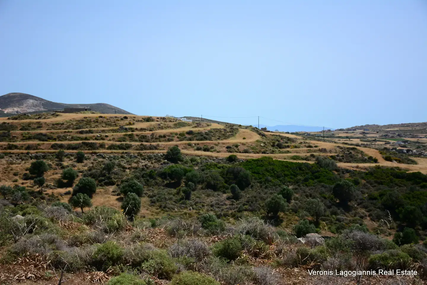 Βίβλος Νάξου – Αγροτεμάχιο 5.300m2 / 640629