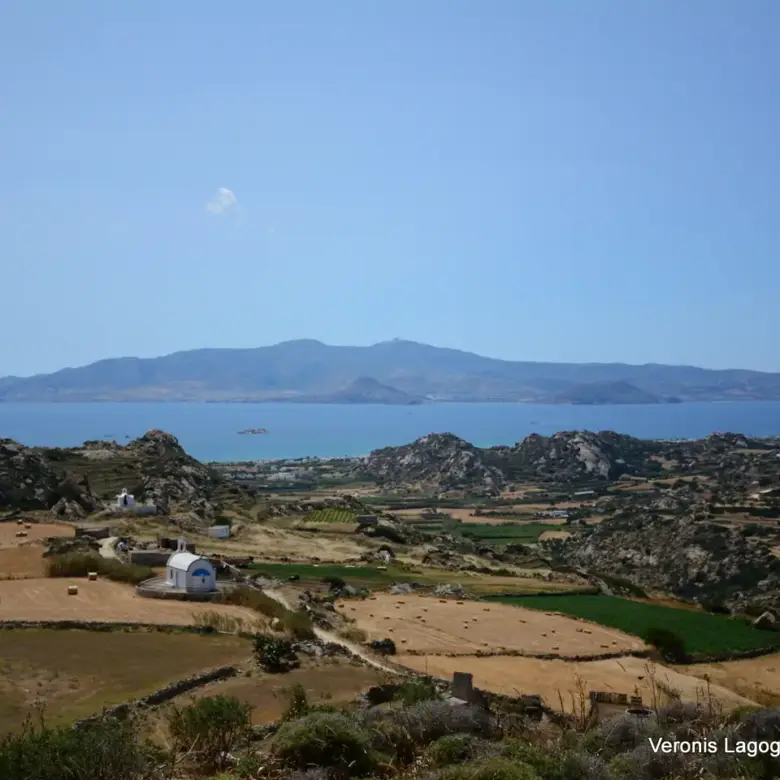 Βίβλος Νάξου – Αγροτεμάχιο 5.300m2 / 640629
