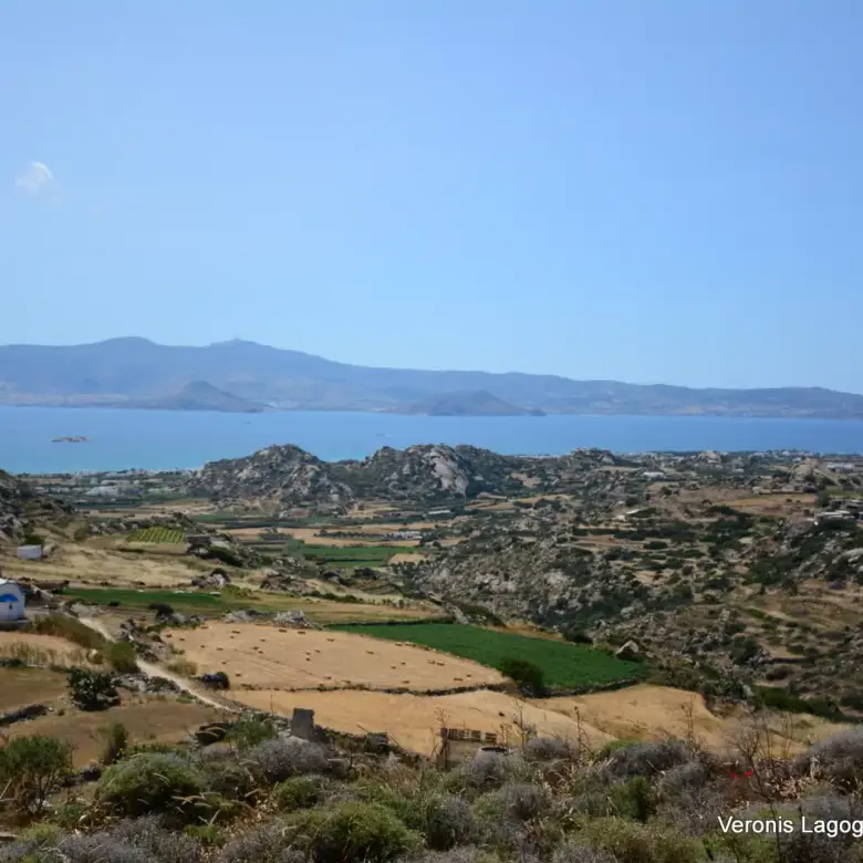 Βίβλος Νάξου – Αγροτεμάχιο 5.300m2 / 640629