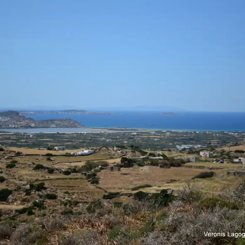 Βίβλος Νάξου – Αγροτεμάχιο 5.300m2 / 640629