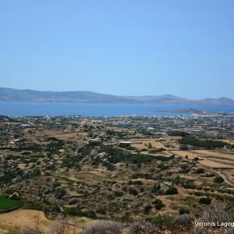 Βίβλος Νάξου – Αγροτεμάχιο 5.300m2 / 640629