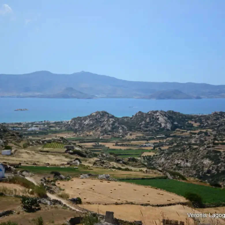 Βίβλος Νάξου – Αγροτεμάχιο 5.300m2 / 640629