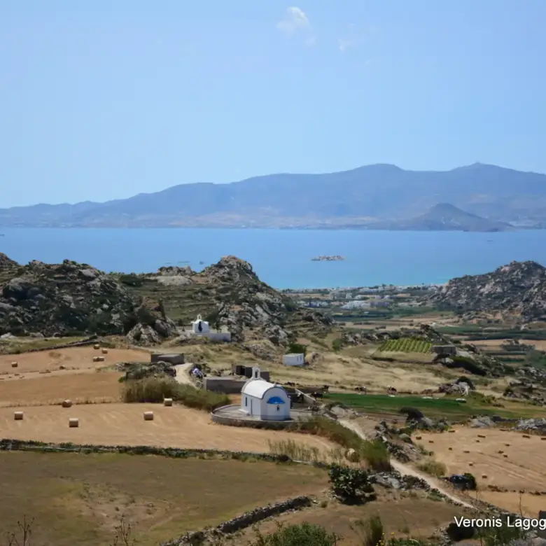 Βίβλος Νάξου – Αγροτεμάχιο 5.300m2 / 640629