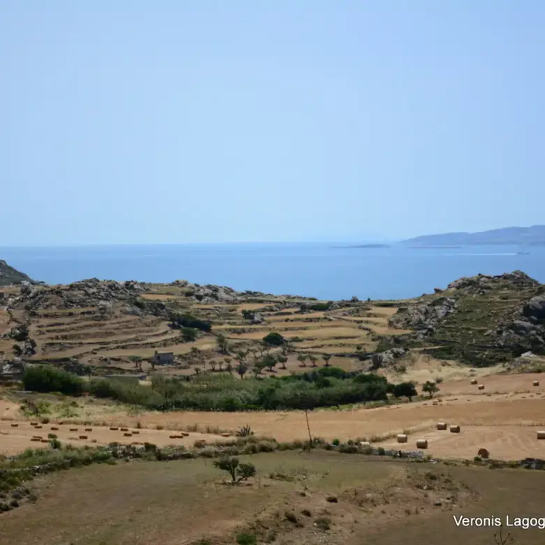 Βίβλος Νάξου – Αγροτεμάχιο 5.300m2 / 640629