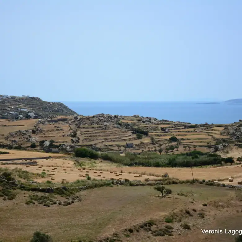 Βίβλος Νάξου – Αγροτεμάχιο 5.300m2 / 640629