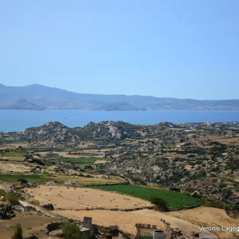 Βίβλος Νάξου – Αγροτεμάχιο 5.300m2 / 640629