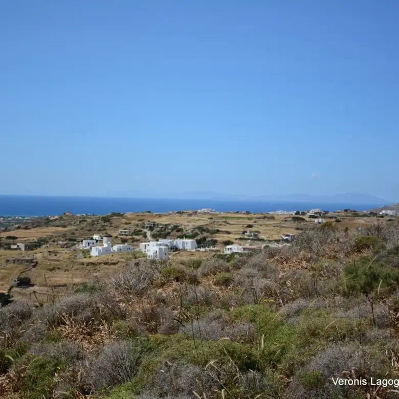 Βίβλος Νάξου – Αγροτεμάχιο 5.300m2 / 640629