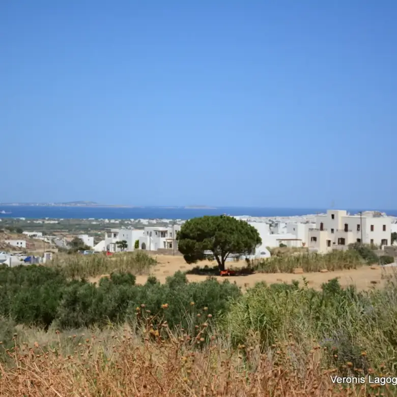 Galanado Naxos – Plot 1000m2 each / 640640