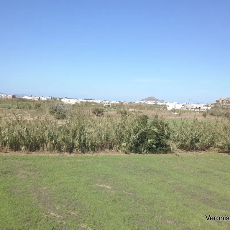 Πλάκα Νάξου – Αγροτεμάχια 4.580m2 / 640652