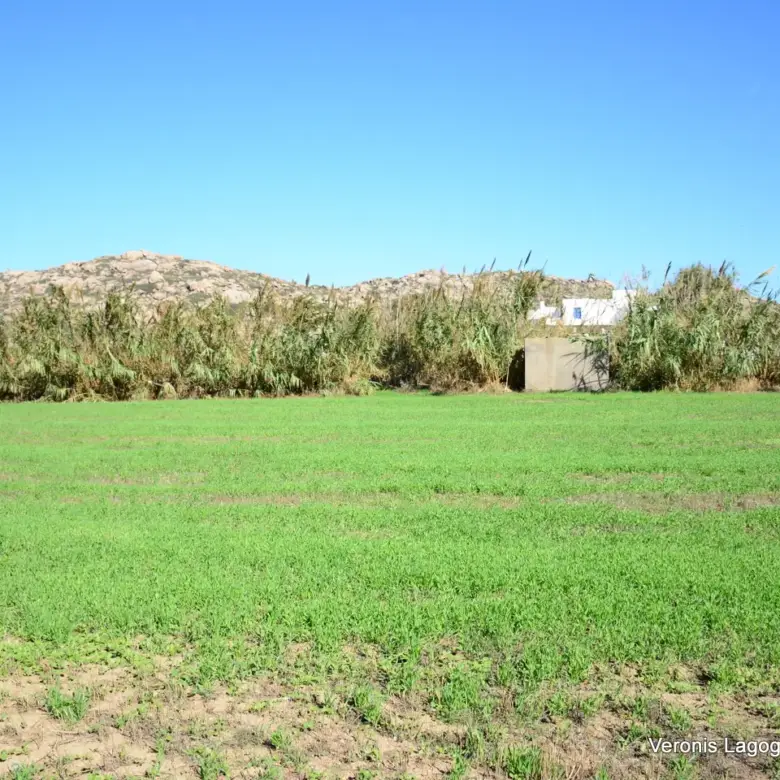 Πλάκα Νάξου – Αγροτεμάχια 4.580m2 / 640652