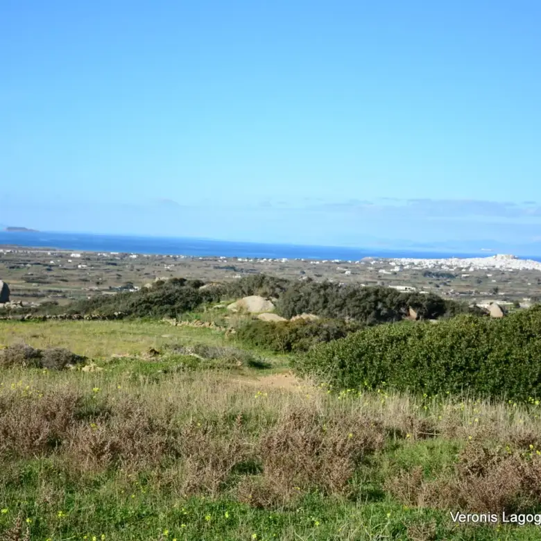 Λόφος Βίβλου – Νάξος / Κατοικία 152m2  / 640658