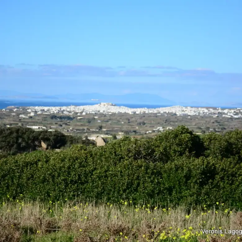 Λόφος Βίβλου – Νάξος / Κατοικία 152m2  / 640658