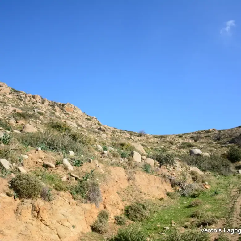 Αγκίδια Νάξου – Αγροτεμάχιο 4.230m2 / 640659