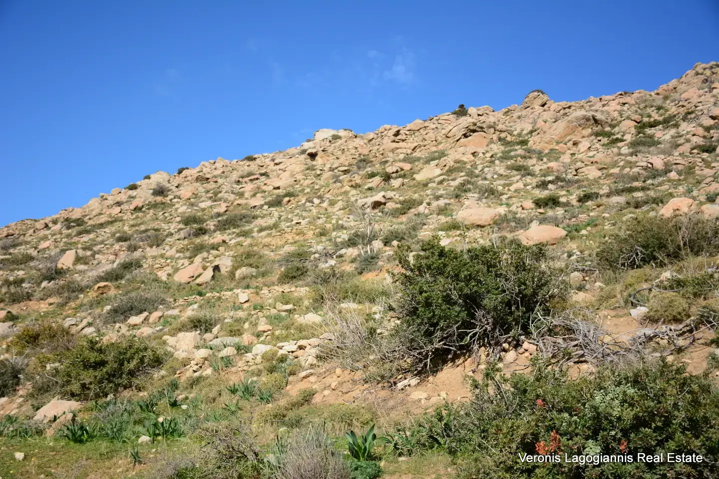 Αγκίδια Νάξου – Αγροτεμάχιο 4.230m2 / 640659