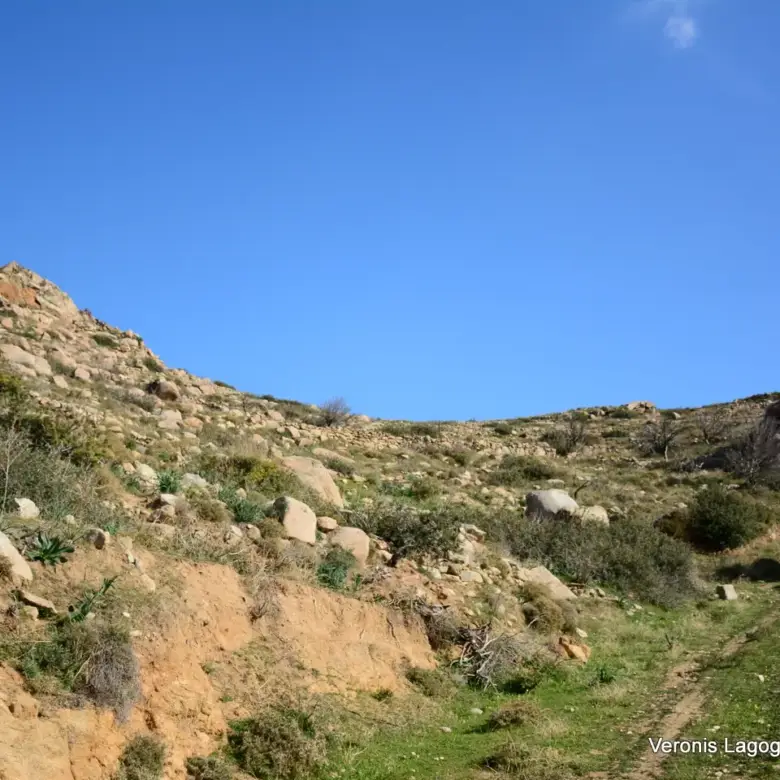 Αγκίδια Νάξου – Αγροτεμάχιο 4.230m2 / 640659