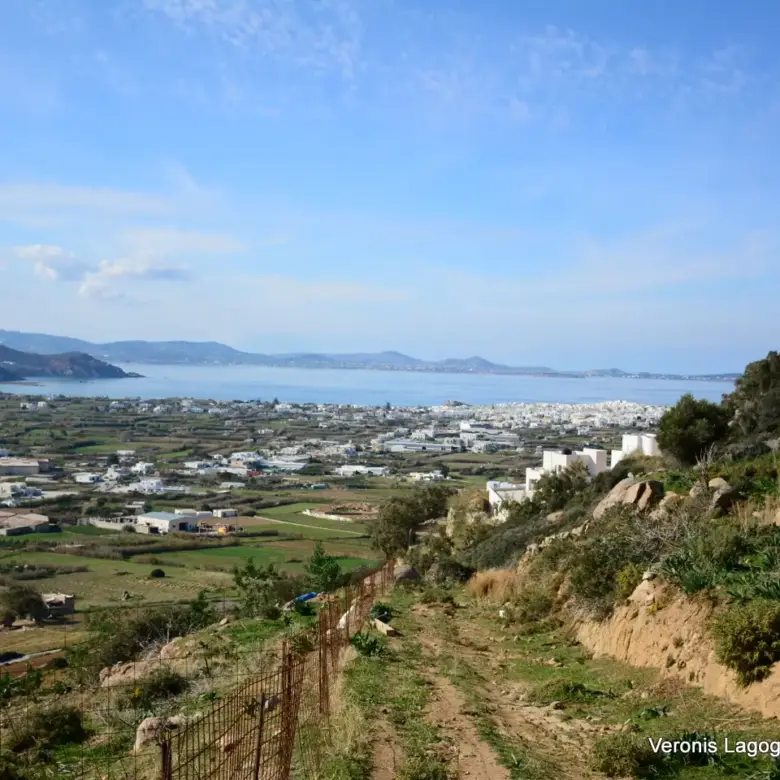 Αγκίδια Νάξου – Αγροτεμάχιο 4.230m2 / 640659