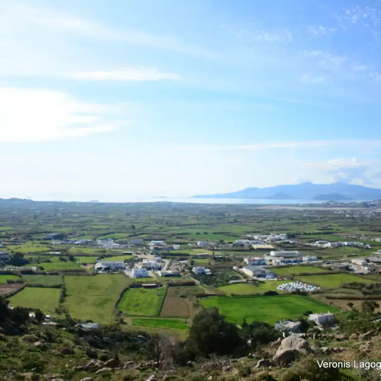 Αγκίδια Νάξου – Αγροτεμάχιο 4.230m2 / 640659