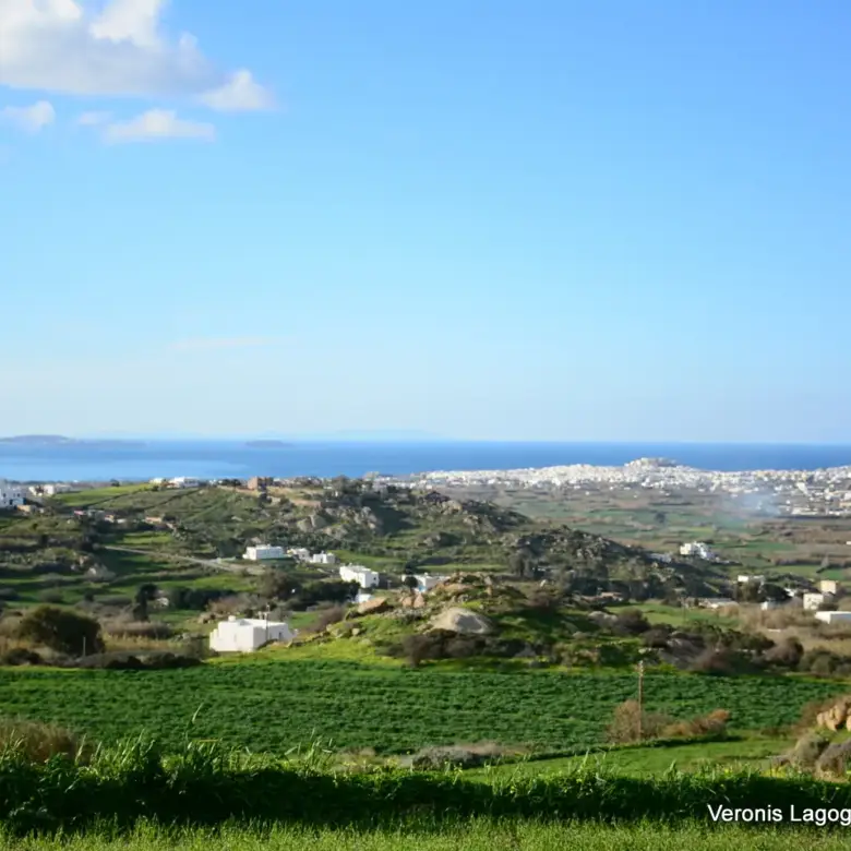 Galanado Naxos / Parcel 6,400m2 / 640662