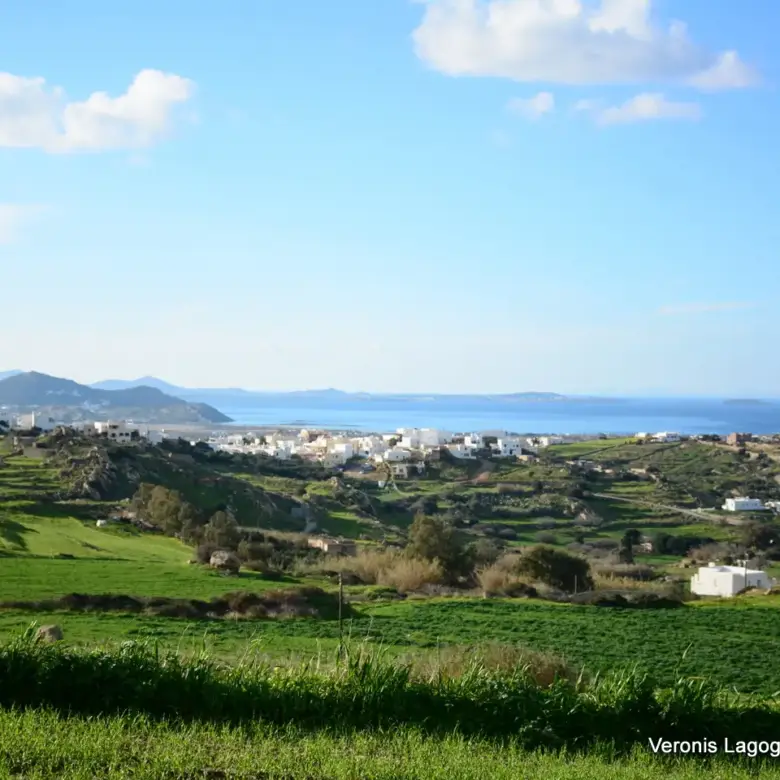 Galanado Naxos / Parcel 6,400m2 / 640662