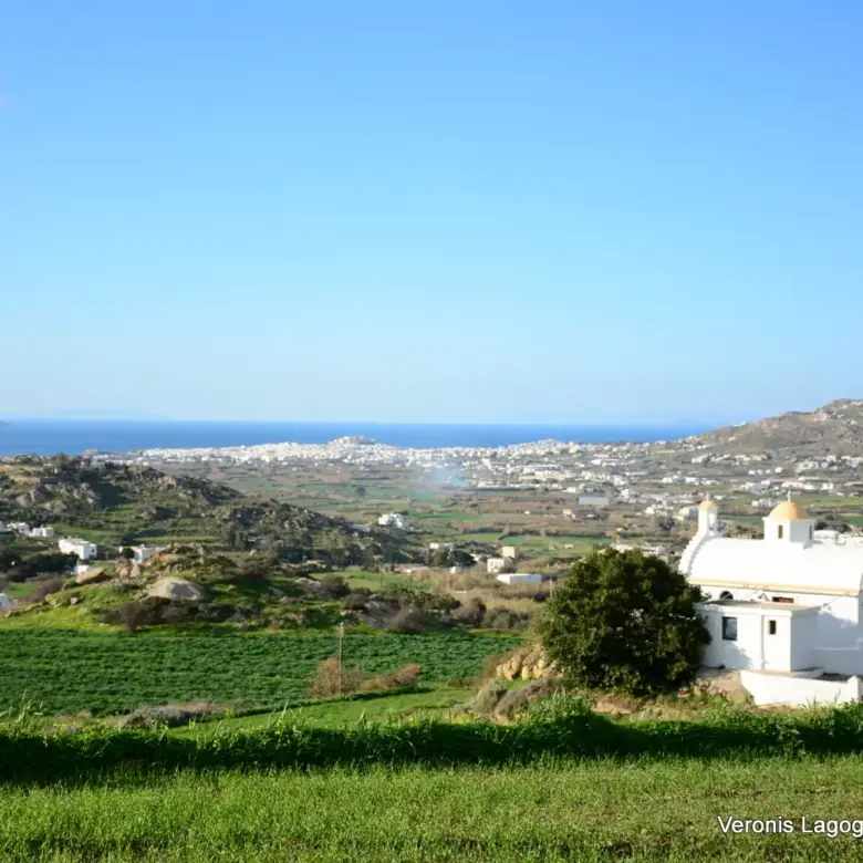 Γαλανάδο Νάξου – Αγροτεμάχια 4.600m2 / 640663
