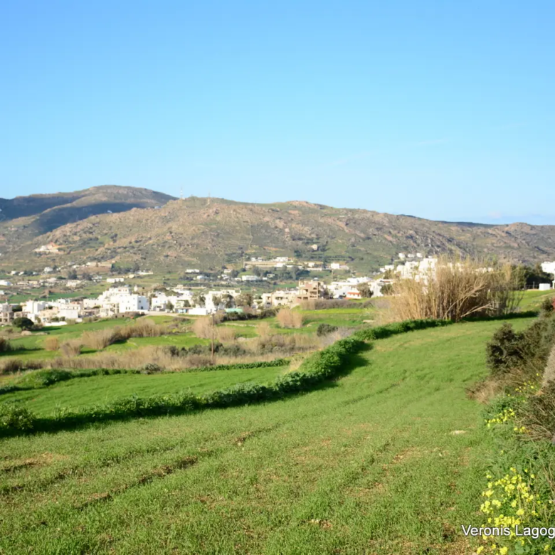 Galanado Naxos / Parcel 6,400m2 / 640662
