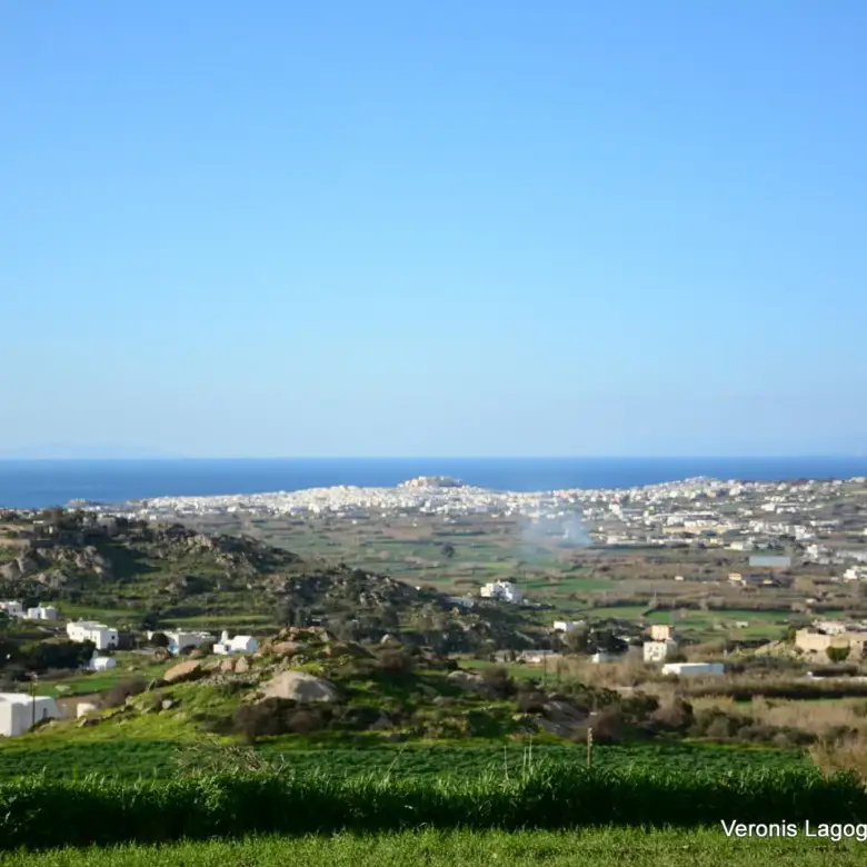 Γαλανάδο Νάξου – Αγροτεμάχια 4.600m2 / 640663