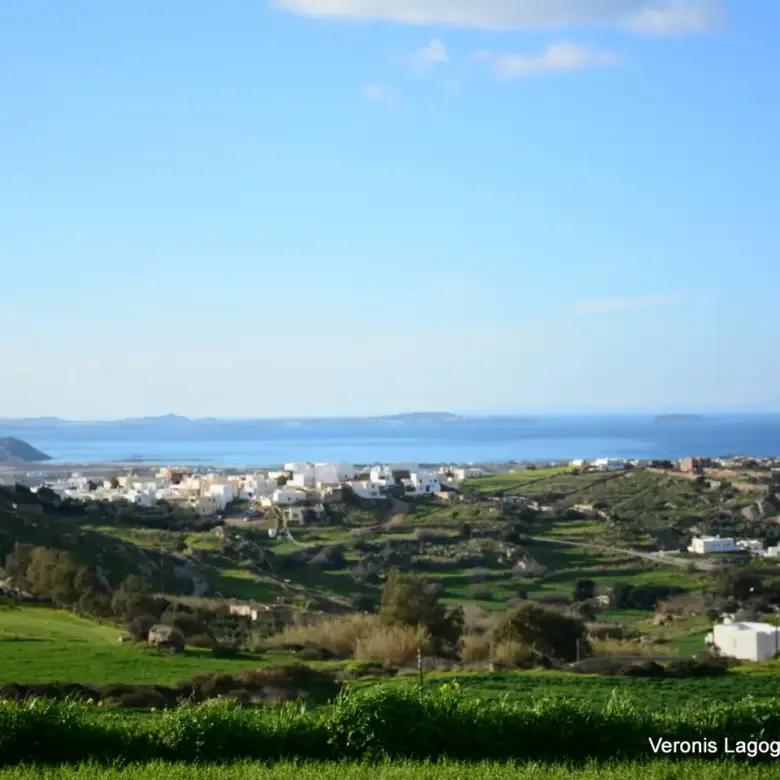 Γαλανάδο Νάξου – Αγροτεμάχια 4.600m2 / 640663