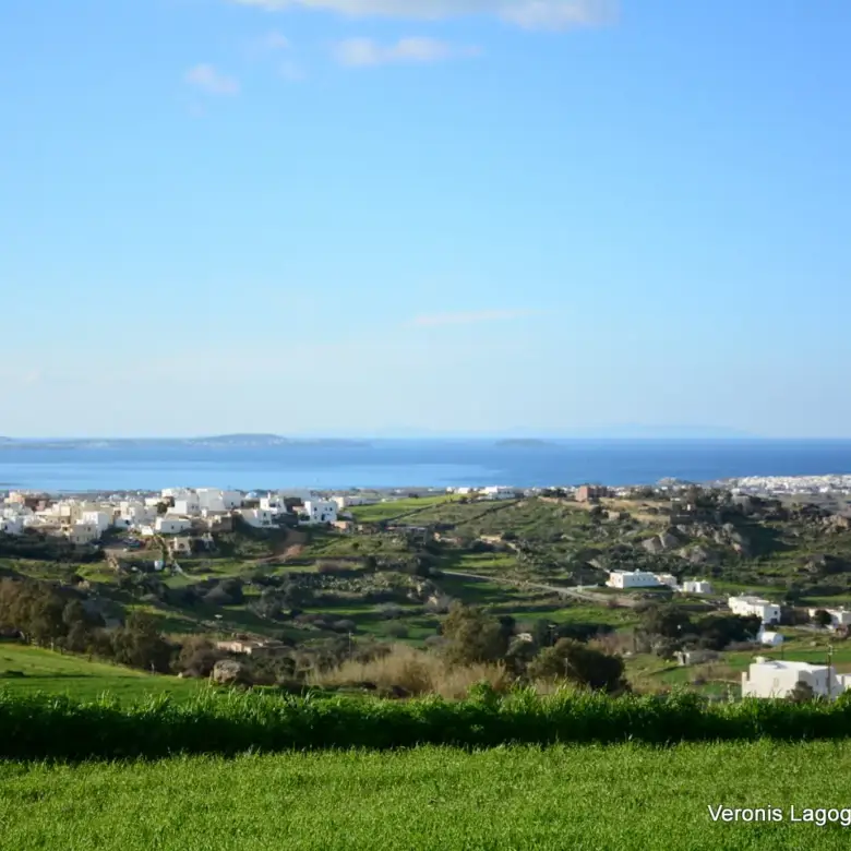 Γαλανάδο Νάξου – Αγροτεμάχια 4.600m2 / 640663