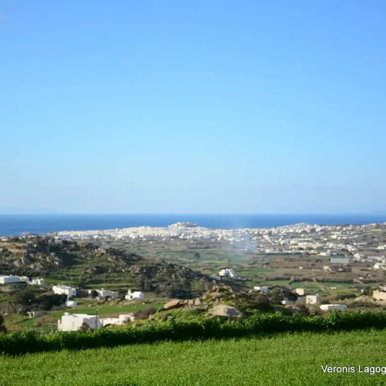Γαλανάδο Νάξου – Αγροτεμάχια 4.600m2 / 640663