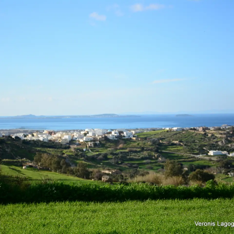 Γαλανάδο Νάξου – Αγροτεμάχια 4.600m2 / 640663