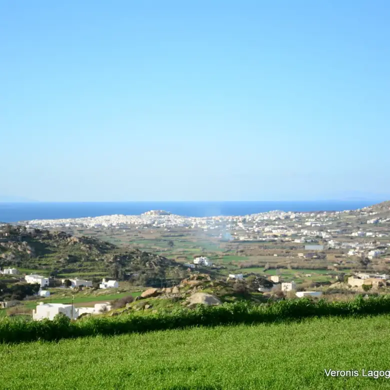 Γαλανάδο Νάξου – Αγροτεμάχια 4.600m2 / 640663