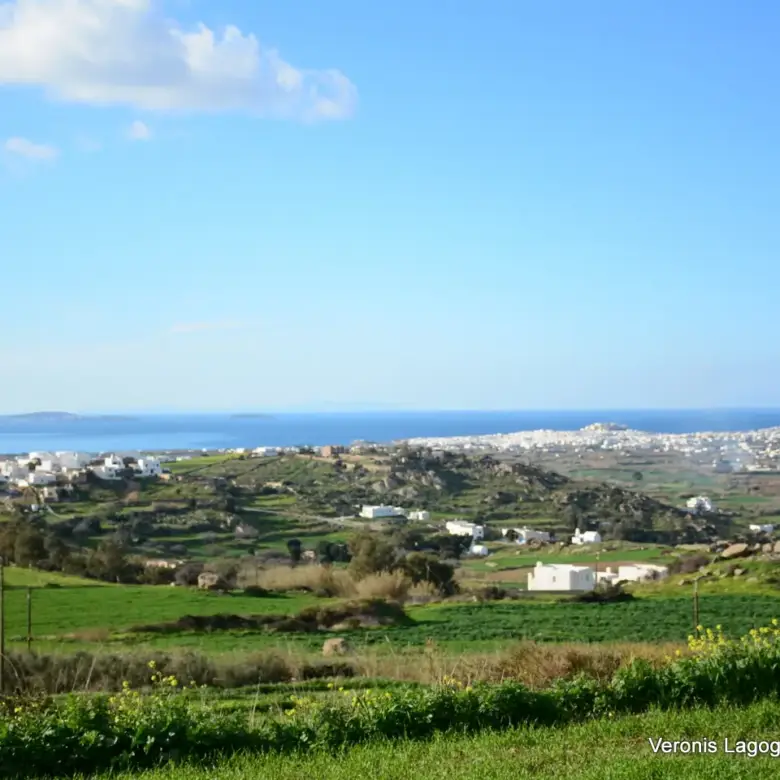 Galanado Naxos / Parcel 6,400m2 / 640662