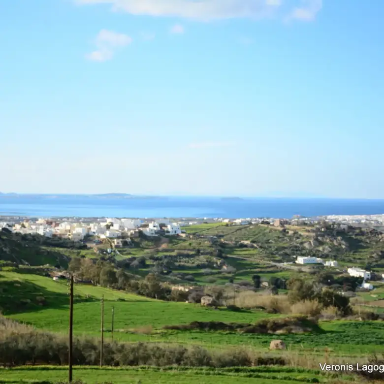 Galanado Naxos / Parcel 6,400m2 / 640662