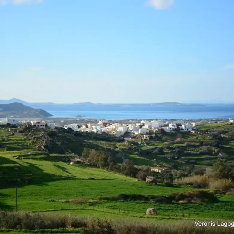 Γαλανάδο Νάξου – Αγροτεμάχια 4.600m2 / 640663