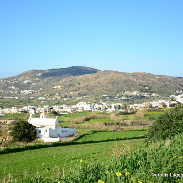 Γαλανάδο Νάξου – Αγροτεμάχια 4.600m2 / 640663