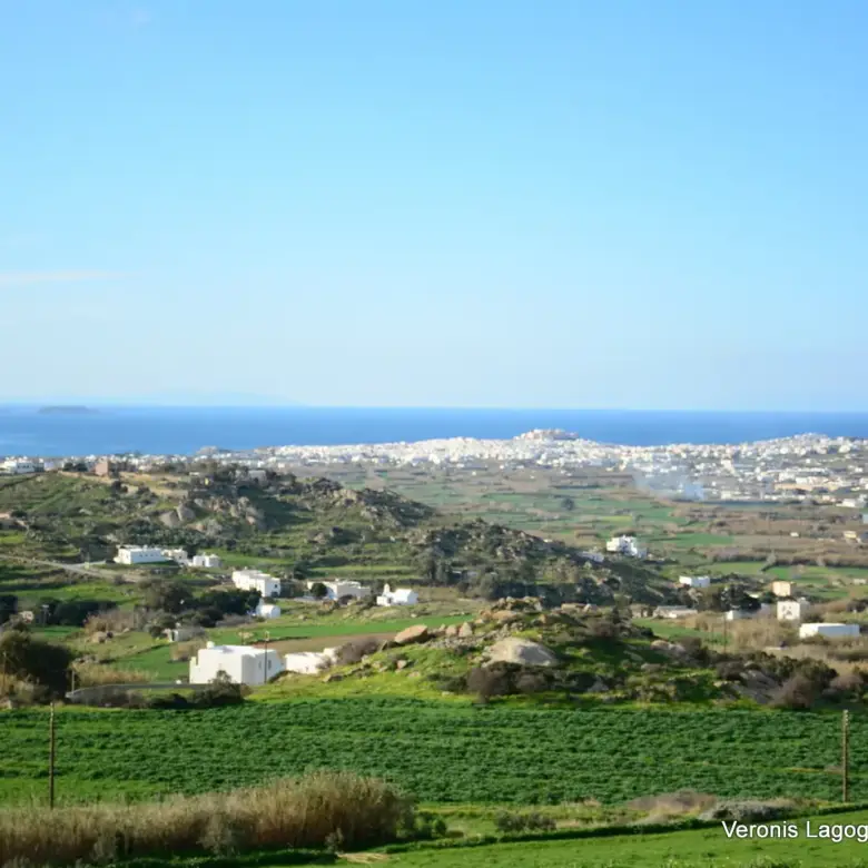Galanado Naxos / Parcel 6,400m2 / 640662