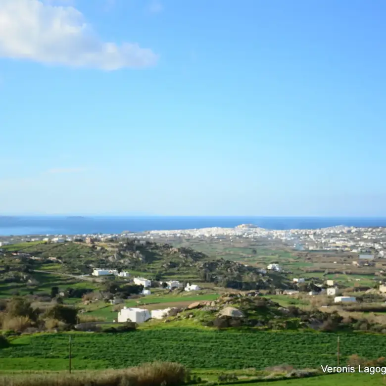 Galanado Naxos / Parcel 6,400m2 / 640662