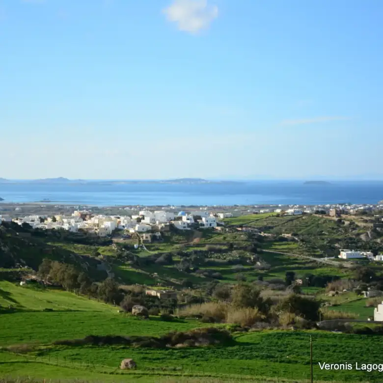 Galanado Naxos / Parcel 6,400m2 / 640662