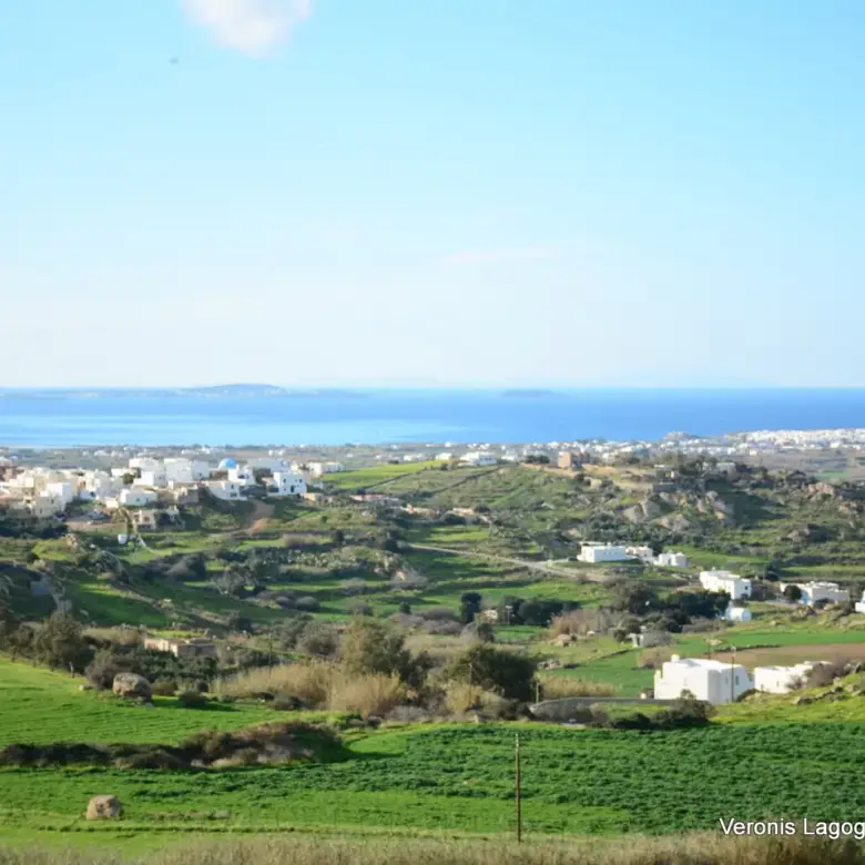 Galanado Naxos / Parcel 6,400m2 / 640662