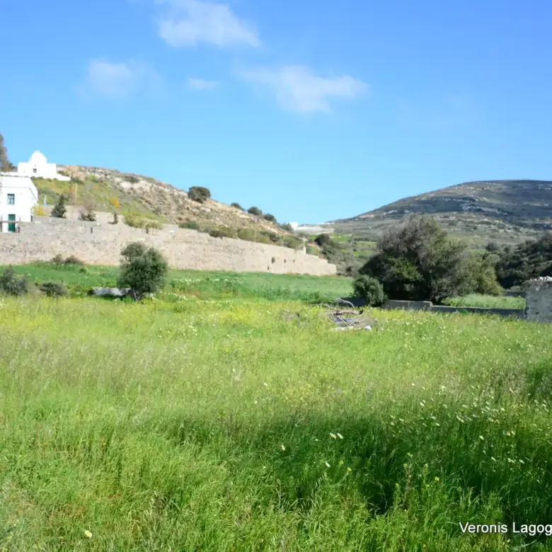 Vivlos Naxos – Plot 1,258m2 / 640668