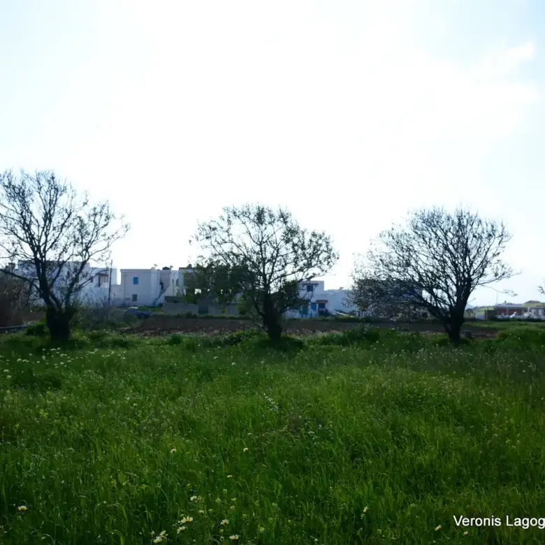 Vivlos Naxos – Plot 1,258m2 / 640668