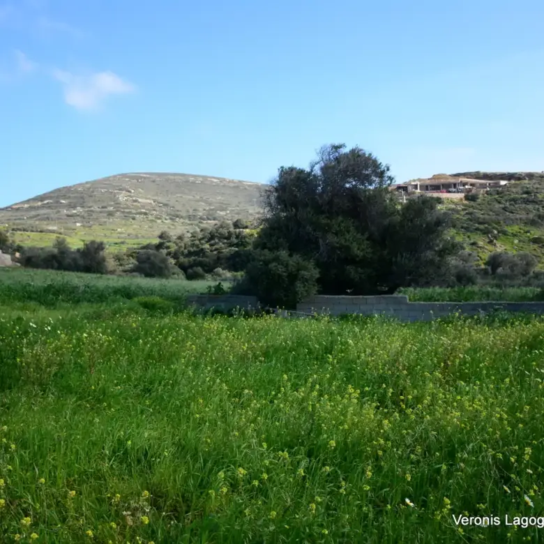 Vivlos Naxos – Plot 1,258m2 / 640668
