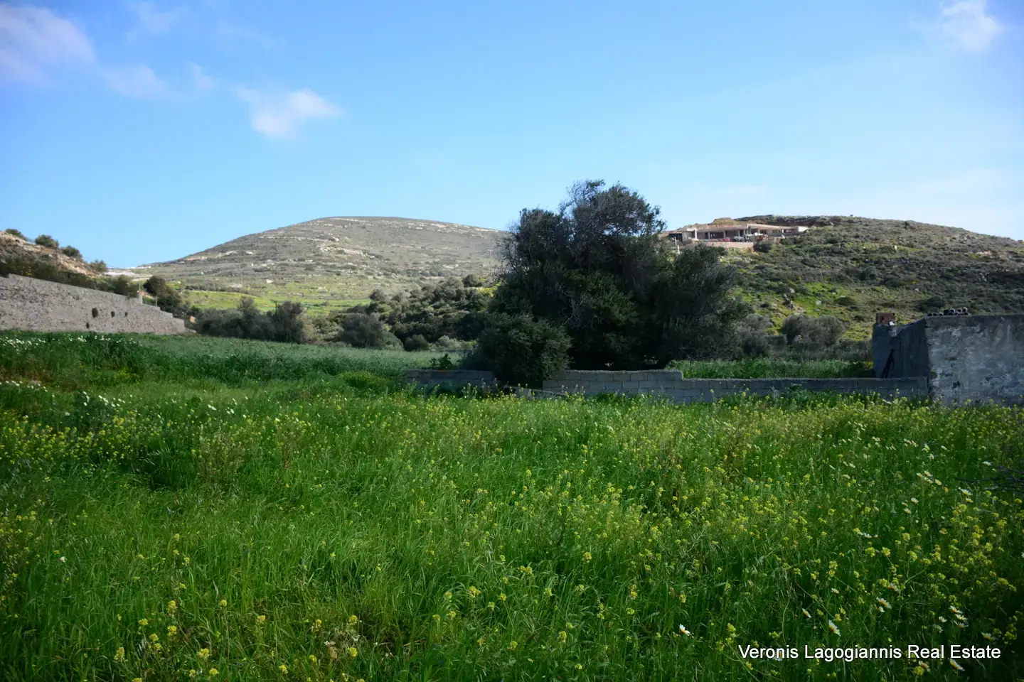 DSC_1306 Vivlos Naxos – Plot 1,258m2 / 640668